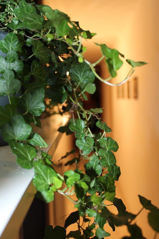 Bed and Breakfast Beautiful Life Palermo Esterno foto